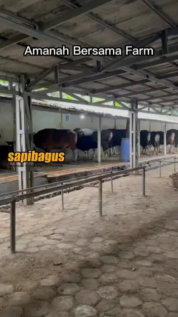 Amanah-Bersama-Farm
